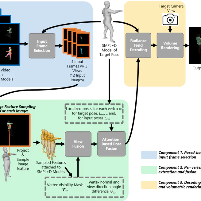 SAgA-NeRF: Subject-Agnostic and Animatable Neural Radiance Fields for Human Avatar